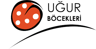 Kendi Hayatının Lideri Ol